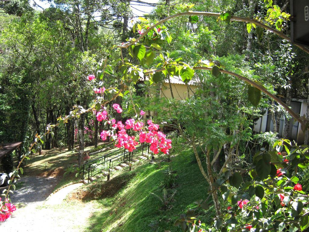 Pousada Chale Da Floresta Monte Verde  Exterior foto